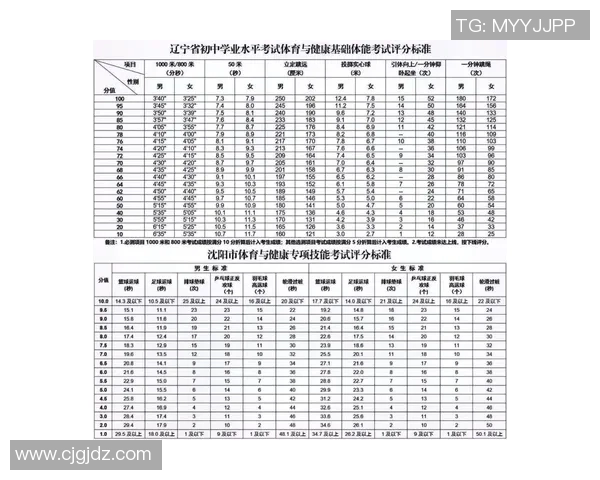 球员评分系统大比拼：评分标准全解析