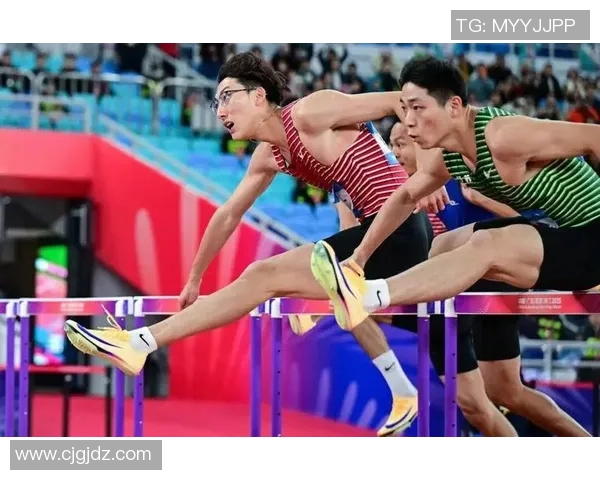 奥运会跨栏选手栏间步伐数与成绩波动关系探讨