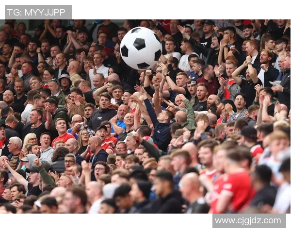 球迷炸锅:总决赛这一行为引热议! 球迷炸锅:总决赛这一行为引热议!